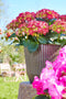 Mica Decorations Rio - Bloempot voor Buiten - H41 x Ø45 cm - Donkergrijs
