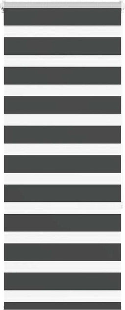 vidaXL - Zebra - rolgordijn - 60x150 - cm - stofbreedte - zwart - 55,9 - cm