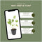 Plants by Frank | 60 Ooievaarsbek Planten | Geranium 'Rozanne' | Winterharde bodembedekker planten | tuinplanten | Winterharde vaste planten meerjarig | Winterharde tuinplanten