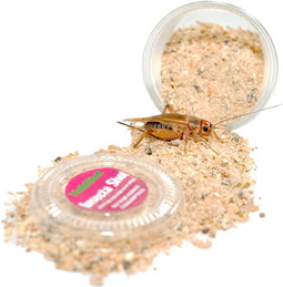 Habistat Aquadistri insecta shot