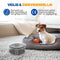 Vulpes Goods® Drinkbak Hond - Anti-knoei Waterbak - 2 Liter Capaciteit - Transparant