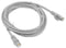UTP Category 6 Rigid Network Cable Lanberg Grey