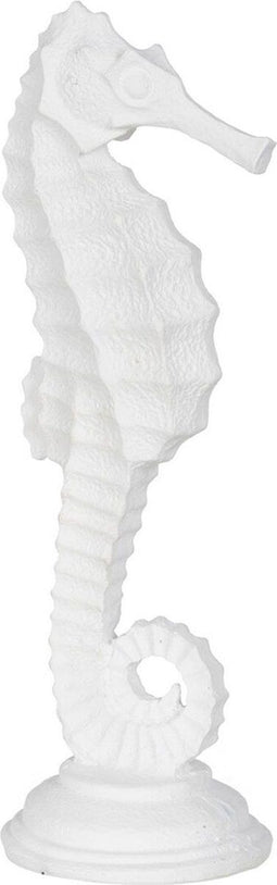 Decoratieve figuren Wit Zeepaardje 11 x 9 x 31 cm