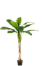 Emerald - Kunstboom Bananenboom 150cm - Kunstplanten voor binnen