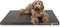 Bia Bed - Matras - Orthopedisch Ligbed - Zwart - 105X66 cm