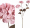 PTMD Gedroogde Hortensia Droogbloem - 43x23x77 cm - Kunststof - Roze