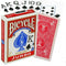 Bicycle Rider Back Jumbo