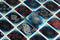 Bicycle Stargazer Observatory - Premium Speelkaarten - Creatives - Poker - Collectible