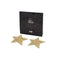 Bijoux Indiscrets Flash Ster Tepelversiering - Goud