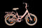 Bikefun Fiets Bike Fun 16 RN Flower Fun