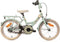 Bikefun Fiets Bike Fun 16 RN Flower Fun