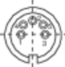 binder 99-2014-02-05 Ronde connector Koppeling, recht Totaal aantal polen: 5 Serie (ronde connectors): 581 1 stuk(s)