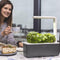 Binnentuin met LED-verlichting Click & Grow Smart Garden 3 - GRIJS