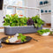 Binnentuin met LED-verlichting Click & Grow Smart Garden 9 - Donkergrijs