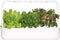 Binnentuin met LED-verlichting Click & Grow Smart Garden 9 - Wit