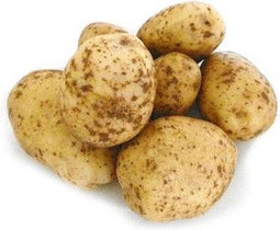 Bintje Pootaadappel