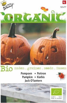 Bio Pompoen Jack O'Lantern - Cucurbita pepo