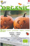 Bio Pompoen Jack O'Lantern - Cucurbita pepo