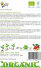 Bio Pompoen Jack O'Lantern - Cucurbita pepo