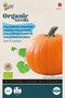 Bio Pompoen Jack O'Lantern - Cucurbita pepo