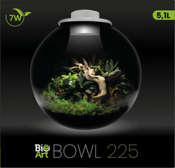 Bioart cylinder 225 wit - glazen domes met ledverlichting