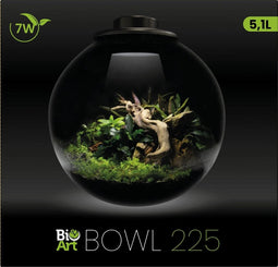 Bioart cylinder 225 zwart - glazen domes met ledverlichting