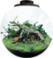Bioart cylinder 225 zwart - glazen domes met ledverlichting