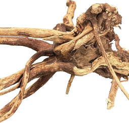 BIOART Spider Wood 10-15CM