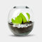 Biodome Liefde - Terrarium - 18cm