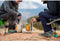 BioLite CampStove KettlePot Cook & Coffee Kit