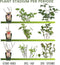 Biologische Fruitbomen set van 4 - Appel, Peer, Kers en Pruim - 4 x Ø 20 cm - ↨ 60 cm