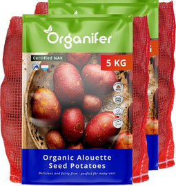 Biologische Pootaardappelen Alouette A 28/35 - 10 kg - Plantgoed - Skal En Nak-Gecertificeerd - Oogst Na 90 Dagen - Lang Ovale Vorm - Ziekteresistentie Tegen Phytophthora - Robuust Tegen Schurft - Geschikt Voor Koudere Bodems - Organifer
