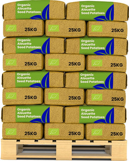 Biologische Pootaardappelen Alouette A 28/35 - 1000 kg - Plantgoed - Skal En Nak-Gecertificeerd - Oogst Na 90 Dagen - Lang Ovale Vorm - Ziekteresistentie Tegen Phytophthora - Robuust Tegen Schurft - Geschikt Voor Koudere Bodems - Organifer