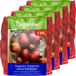 Biologische Pootaardappelen Alouette A 28/35 - 20 kg - Plantgoed - Skal En Nak-Gecertificeerd - Oogst Na 90 Dagen - Lang Ovale Vorm - Ziekteresistentie Tegen Phytophthora - Robuust Tegen Schurft - Geschikt Voor Koudere Bodems - Organifer