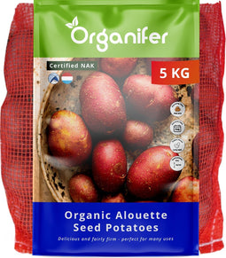 Biologische Pootaardappelen Alouette A 28/35 - 5 kg - Plantgoed - Skal En Nak-Gecertificeerd - Oogst Na 90 Dagen - Lang Ovale Vorm - Ziekteresistentie Tegen Phytophthora - Robuust Tegen Schurft - Geschikt Voor Koudere Bodems - Organifer