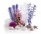 biOrb Easy Décor Kit - 30L roze