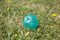 Biosafe puppy snack bal blauw