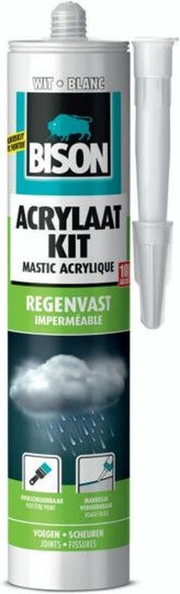Bison Acrylaatkit Regenvast wit koker 300 ml - afdichtingskit voor het afdichten van voegen, naden, kieren en scheuren, overschilderbaar, strak afmesbaar