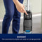BISSELL CrossWave® HF2 Select 3847N - Vloerreiniger - Stofzuigt en dweilt harde vloeren tegelijkertijd