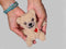 Bitten Design Teddybeer Warmtekussen - Klein - handwarmer beer - opwarmknuffel beer - magnetronknuffel beer
