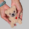 Bitten Design Teddybeer Warmtekussen - Klein - handwarmer beer - opwarmknuffel beer - magnetronknuffel beer