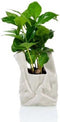 Bitten Not A Plastic Bag Pot - Groot