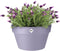 Elho Loft Urban Schaal 35 - Bloempot voor Buiten - Ø 34.5 x H 20.2 cm - Lavendel lila
