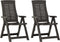 vidaXL - Tuinstoelen - 2 - st - verstelbaar - kunststof - antracietkleurig
