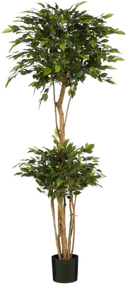 Mica Decorations Kunstboom Ficus Natasja - 50x50x150 cm - Polyester - Groen