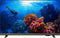 Philips 24PHS6808 - Smart TV - HD Ready - Spraakbediening - Zwart (2023)