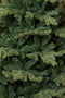 Black Box Trees Herwood Deluxe Kunstkerstboom - H185 x Ø127 cm - Groen
