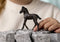 schleich HORSE CLUB - Fries Veulen - 13977