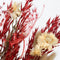 Plant in a Box - Boeket 'Loose Fit Lady Bird' - Droogbloemen - hoogte 50cm