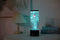 i-Total Bubbel Lamp - Mini Aquarium - Met 3 Nepvissen - LED Verlichting - Zwart - 30cm